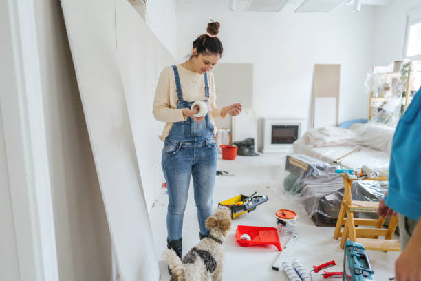 Best Ceiling Drywall Installation  in Friend, NE